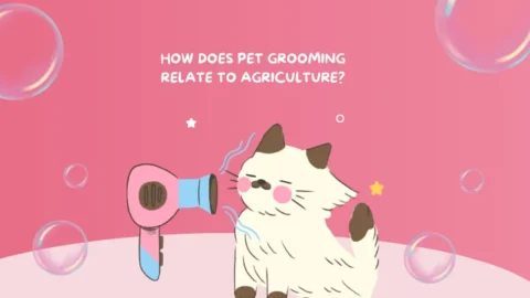 How-Does-Pet-Grooming-Relate-to-Agriculture